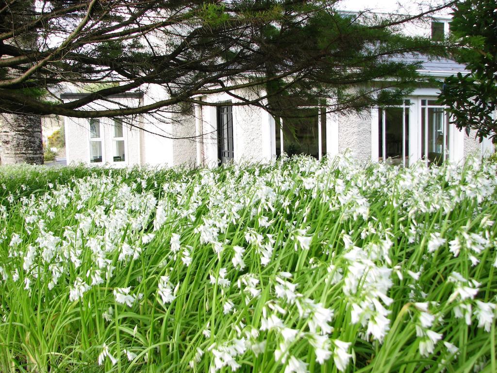 The Convent Bed & Breakfast Leenaun Exterior foto